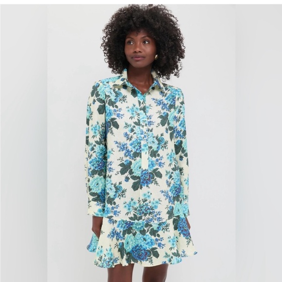 Tuckernuck Dresses & Skirts - Tuckernuck Wild Zinnia Linen Callahan Shirt Dress